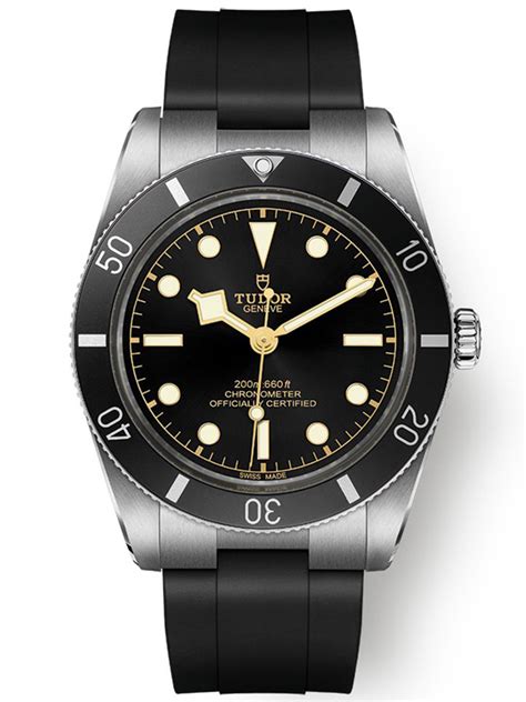tudor ho